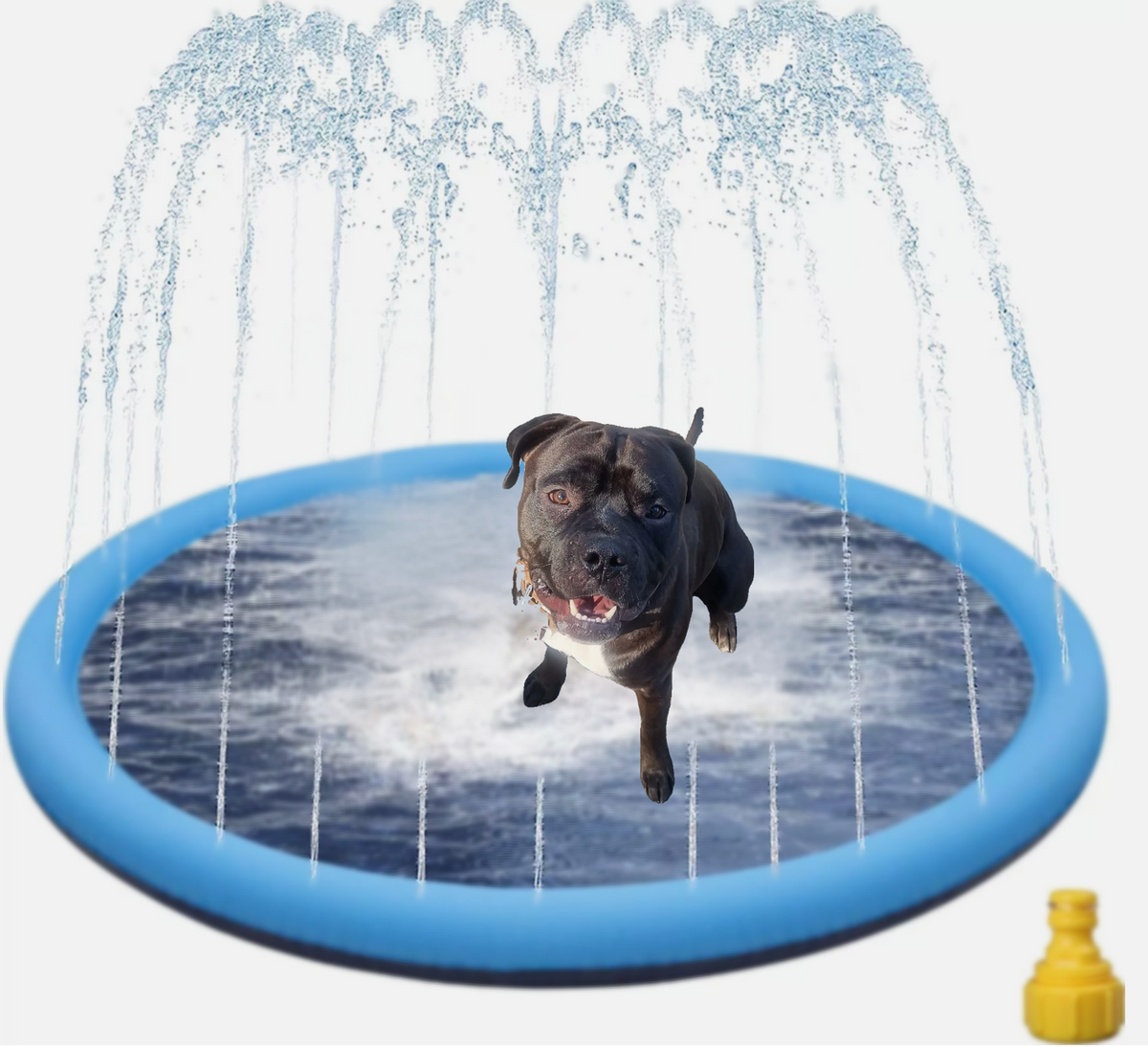 Sprinkler - Matte für Hunde Bild 3