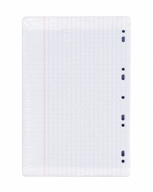 200 Blatt Ringbucheinlagen Din A4 kariert Bild 2